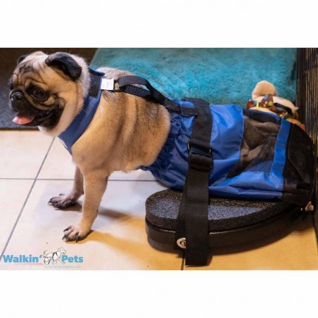 Walkin scooter planche roulette pour chiens et chats paralysés arrière train Mikan
