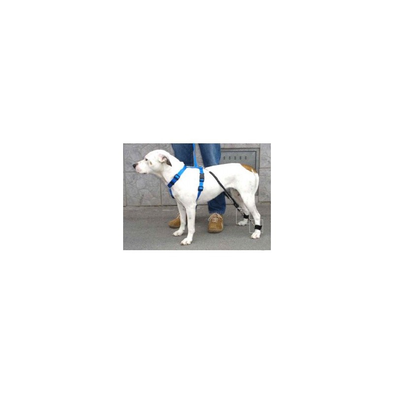 Élastiques système Biko - 2 paires force 1 et 2 pour chiens et chats