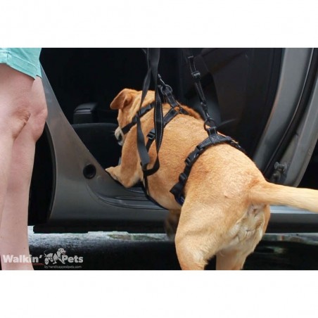 Harnais total Walkin Pets pour chien handicapé Mikan
