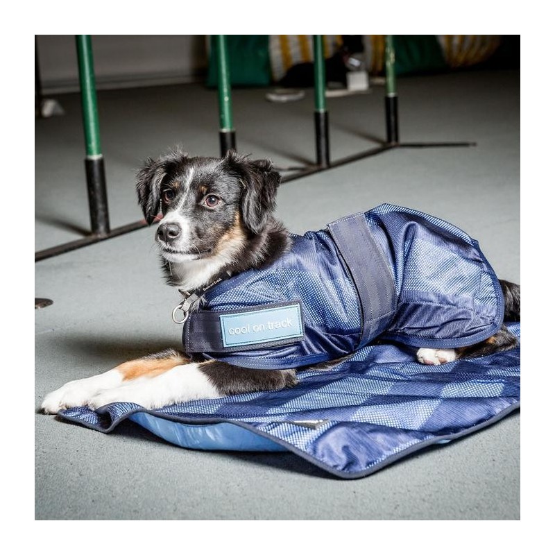 Tapis rafraîchissant pour chiens et chevaux Cool on Track Tapis rafraîchissant pour chiens et chevaux Cool on Track