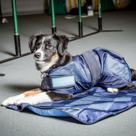 tapis rafraîchissant pour animaux Cool on Track