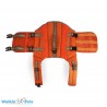 Gilet de flottabilité pour chien Walkin Pets