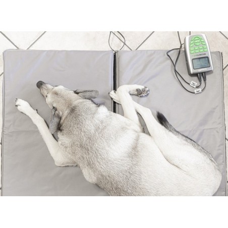 Matelas magnetique pour animaux