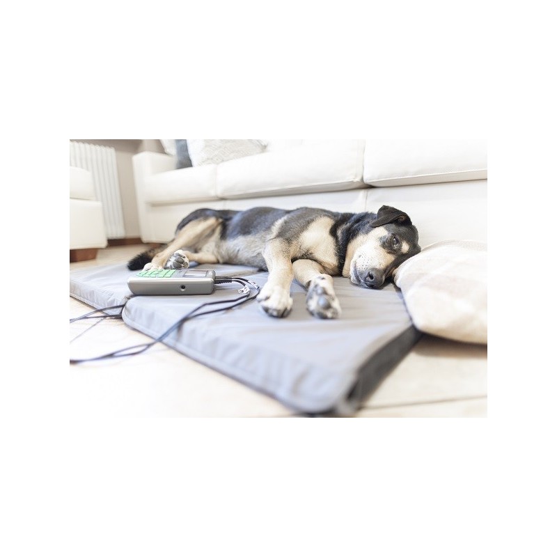 Matelas magnetique pour animaux