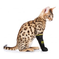 Pansement chaussette top chat