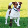 Bottines protection souple chiens et chats Medipaw