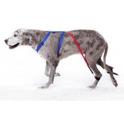 Système Biko - dispositif...