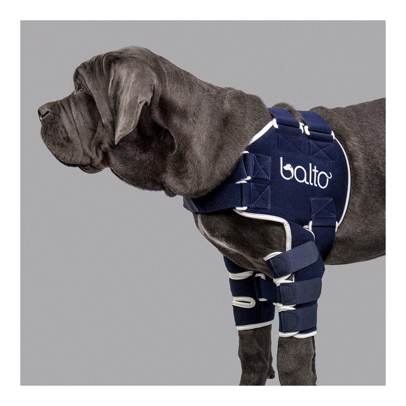Attelle de l’épaule pour chien Balto