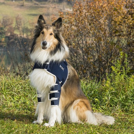 Attelle de l’épaule pour chien Balto