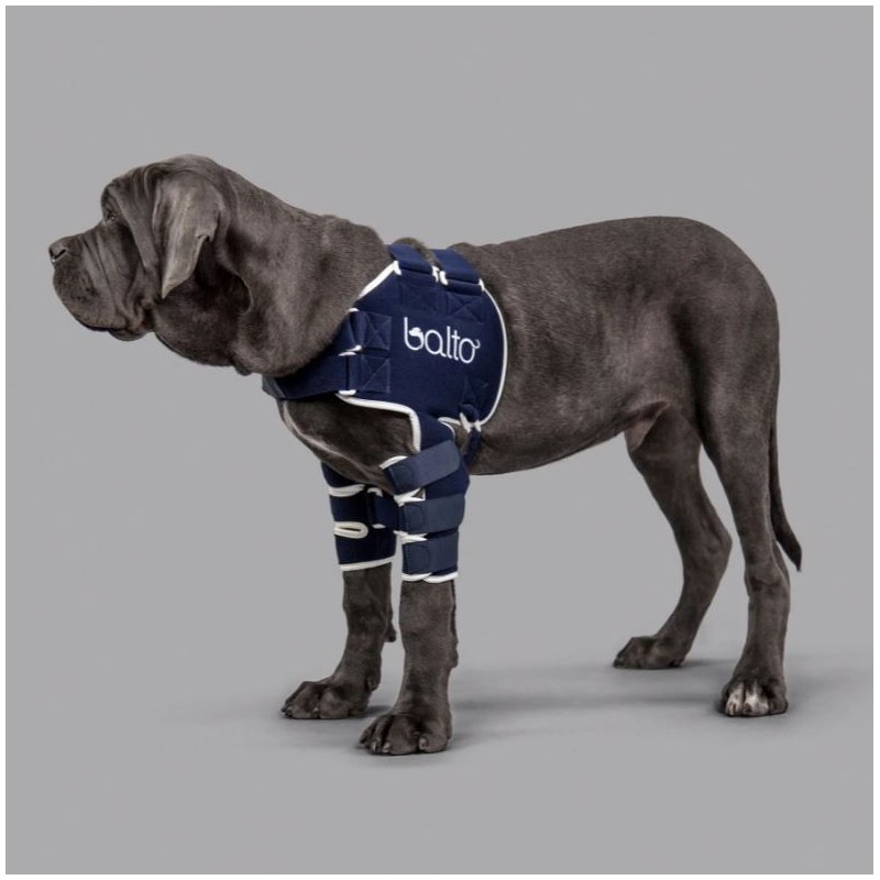 Attelle de l’épaule pour chien Balto