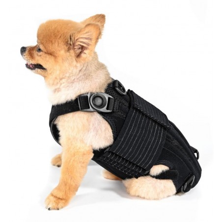 Ceinture dorsale chauffante pour chats et chiens