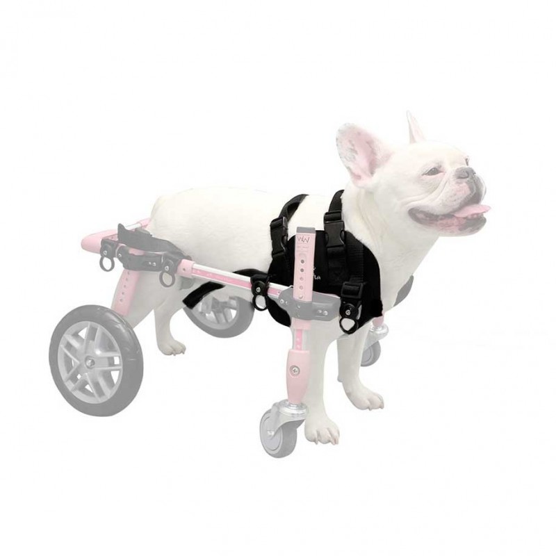 Harnais avant néoprène chien chariot roulant Walkin' Wheels mikan