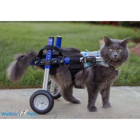 Harnais de portage pattes avant pour chien walkin'warrior