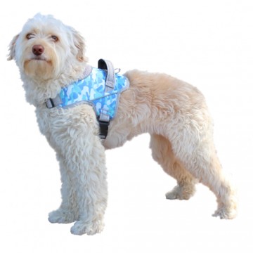 Harnais de portage pattes avant pour chien walkin'warrior