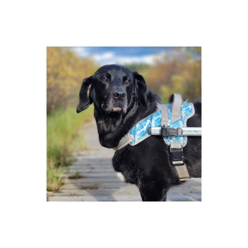 Harnais de portage pattes avant pour chien walkin'warrior
