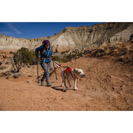 Double Ceinture De Sécurité Pour Chien Double Appuie tête De - Temu France