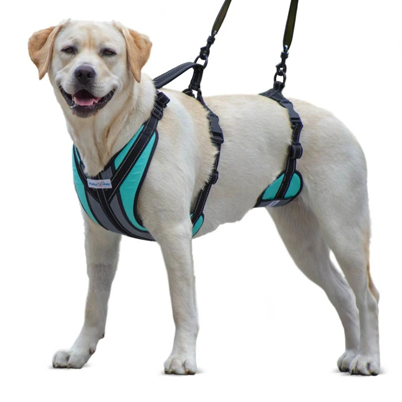 Harnais total Walkin Pets pour chien handicapé Mikan