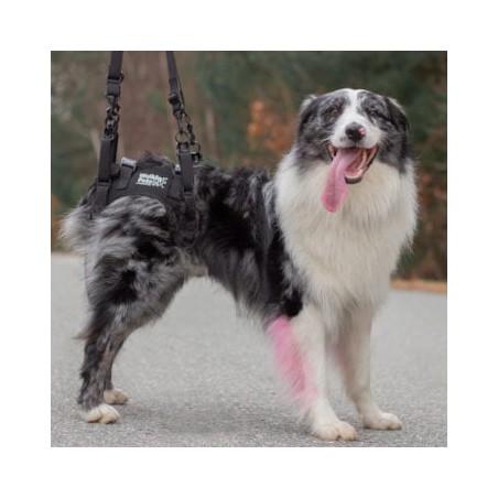 harnais-train-arriere-pour-chien-walkin-wheels.jpg