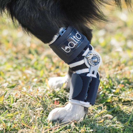 Attelle du tarse articulée Balto Flexor pour animaux