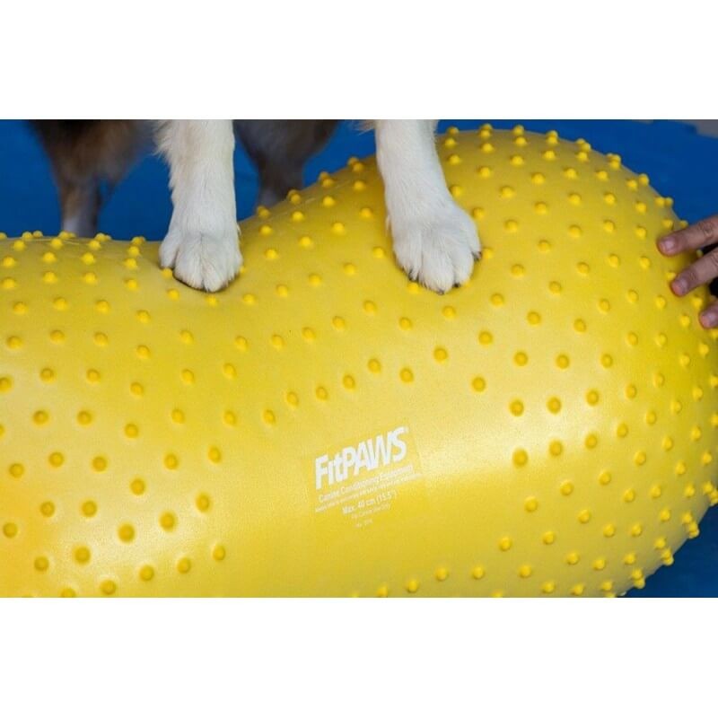 Ballon cacahuète de rééducation et proprioception pour chiens