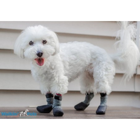 Chaussettes antidérapantes petit chien pompon