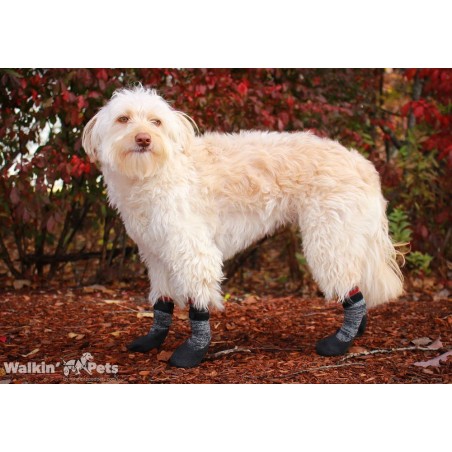 Chaussettes antid rapantes pour animaux Walkin Pets