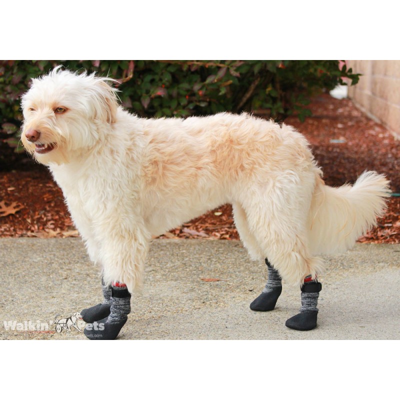 Chaussettes antidérapantes pour chien, chaussettes pour chien grises -  Morin France