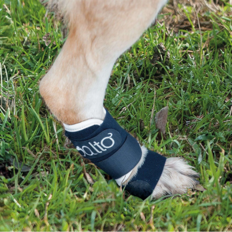 Attelle rigide Balto avant et arrière chien et chat carpe metatarse mikan