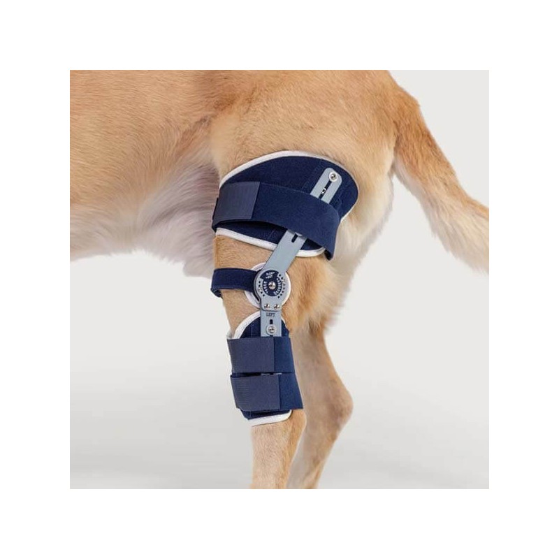 Genouillère articulée pour chien Balto Ligatek
