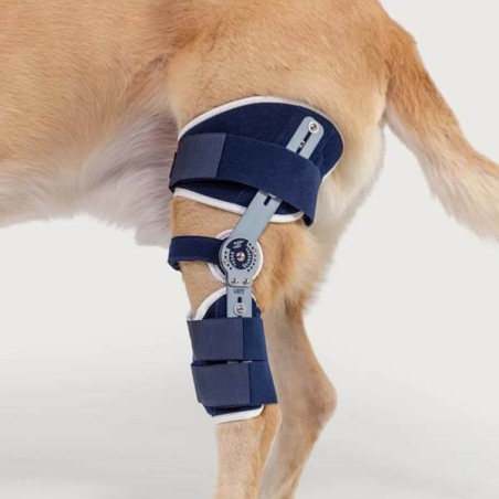 Genouillère articulée pour chien Balto Ligatek