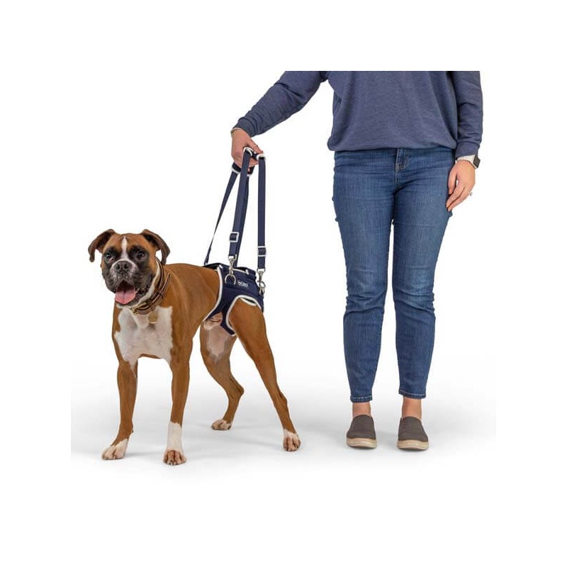 orthèse attelle de hanche pour chien et chats Balto Mikan