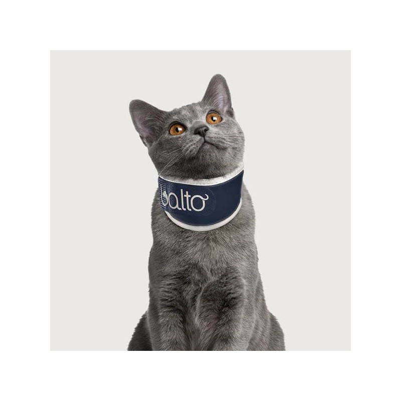 Minerve rigide pour chien chat Balto mikan