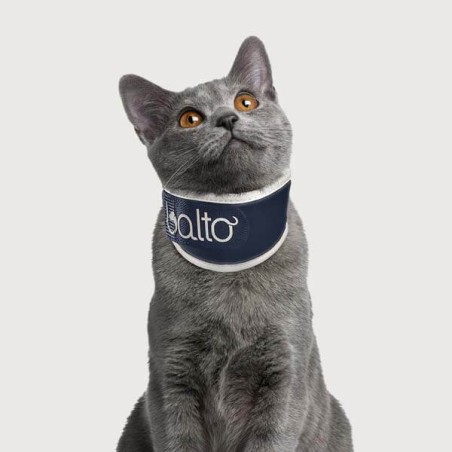 Minerve rigide pour chien chat Balto mikan