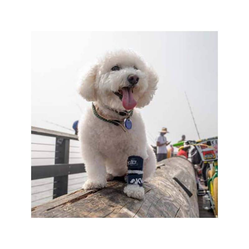 Attelle immobilisante du radius chiens et chats Balto Mikan