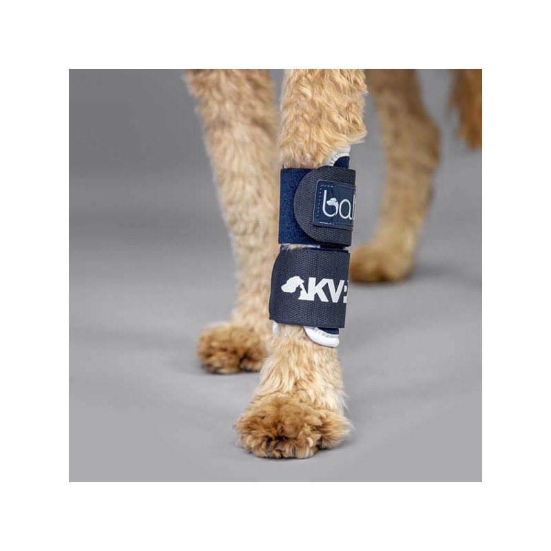 Attelle rigide immobilisante du carpe pour chien chats Balto Mikan