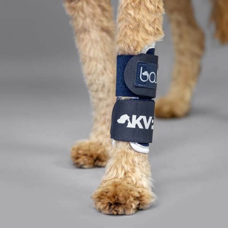 Attelle rigide immobilisante du carpe pour chien chats Balto Mikan