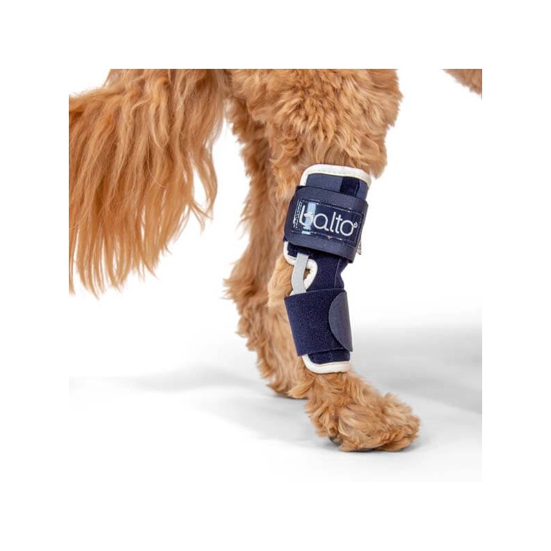 Attelle du tarse patte arrière chien chat Balto mikan