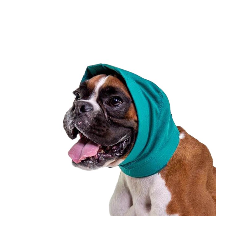 Snood pour protection des oreilles chien Mikan