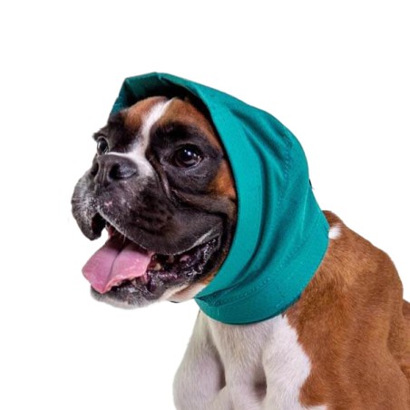 Snood pour protection des oreilles chien Mikan