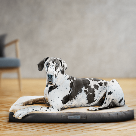 Matelas pour chien « Matela »