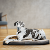 Matelas à mémoire de forme chien et chat Matelas à mémoire de forme chien et chat