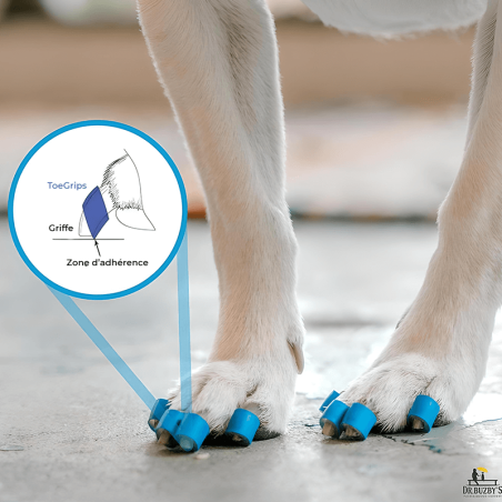 Toegrips bague antidérapante pour griffes pour chien