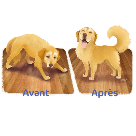 Toegrips bague antidérapante pour griffes pour chien