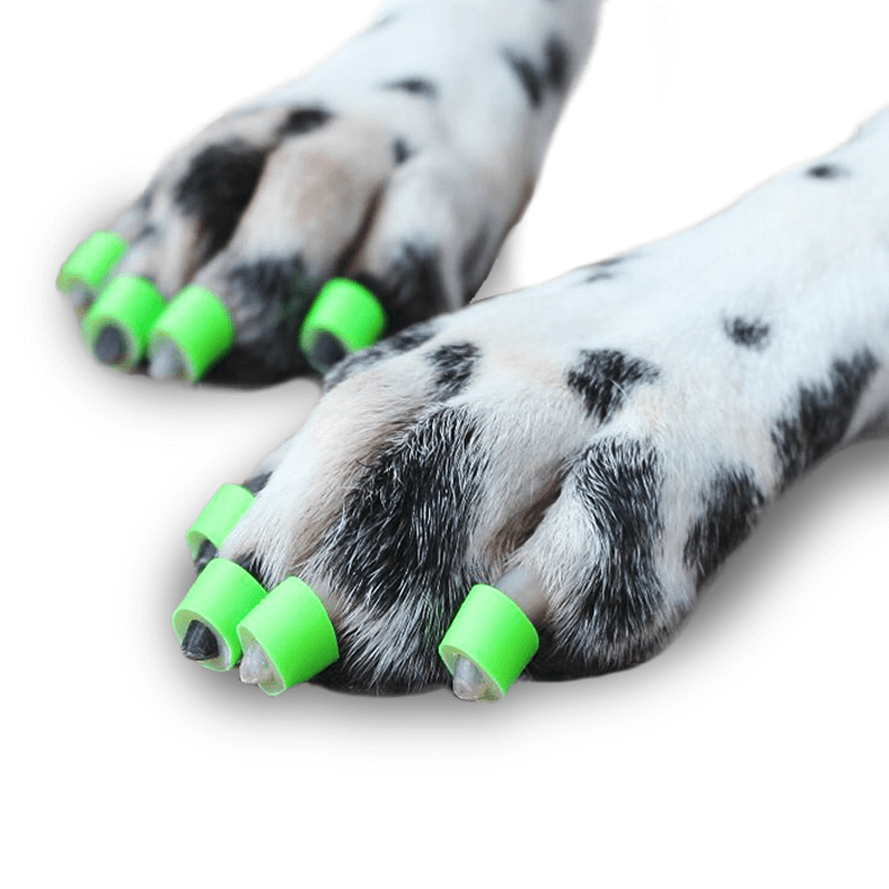 Toegrips bague antidérapante pour griffes pour chien