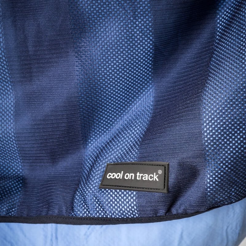 tapis rafraichissant cool on track pour animaux tapis rafraichissant cool on track pour animaux