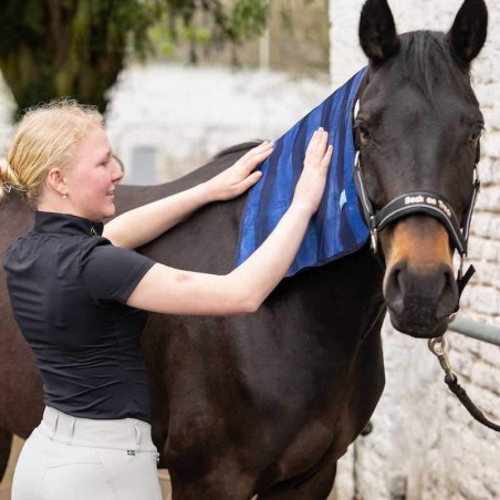 tapis rafraîchissant pour animaux Cool on Track