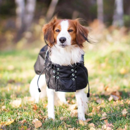 Manteau d'intérieur pour chien avec réflexion de chaleur back on track mikan