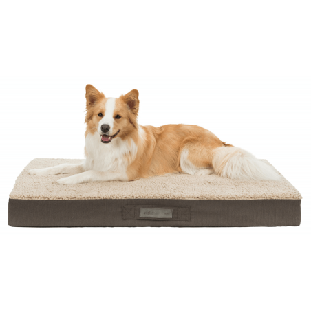 Matelas à mémoire de forme chien et chat