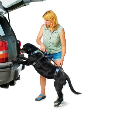 Harnais de portage résistant et ajustable pour tout le corps du chien help em up par mikan