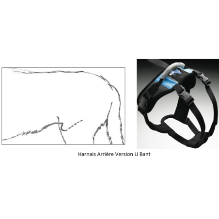 Harnais de portage résistant et ajustable pour tout le corps du chien help em up - version U band par mikan
